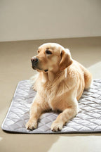 Cooling Mat for Dogs & Cats — Instant Summer Heat Relief