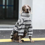 Winter Pullover-Big Dog