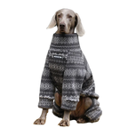 Winter Pullover-Big Dog