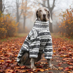 Winter Pullover-Big Dog