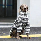 Winter Pullover-Big Dog