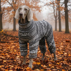 Winter Pullover-Big Dog