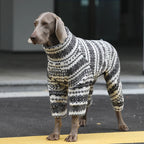 Winter Pullover-Big Dog