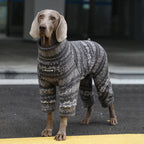 Winter Pullover-Big Dog