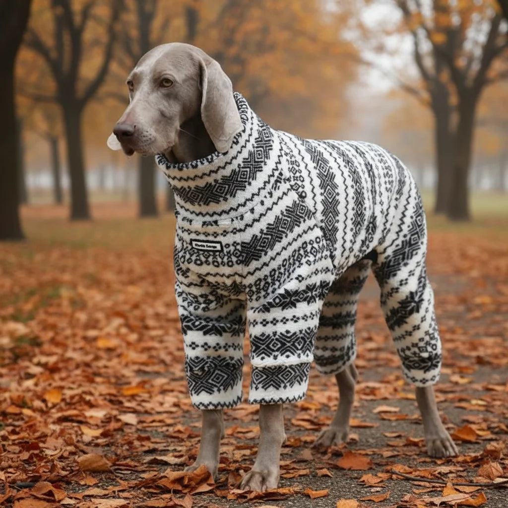Winter Pullover-Big Dog