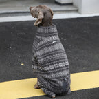 Winter Pullover-Big Dog