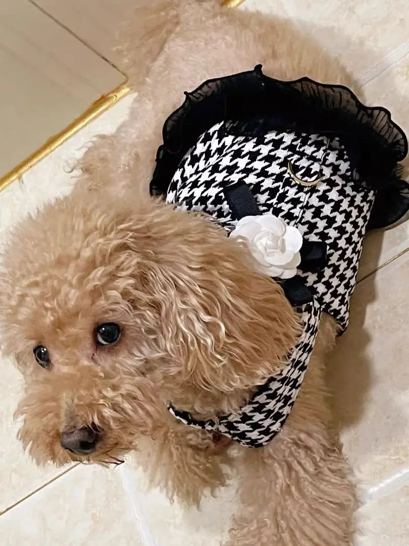 Luxury Pet Harness Leash Set