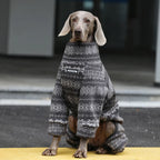 Winter Pullover-Big Dog
