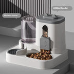 Automatic Pet Feeder and Water Dispenser