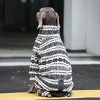 Winter Pullover-Big Dog